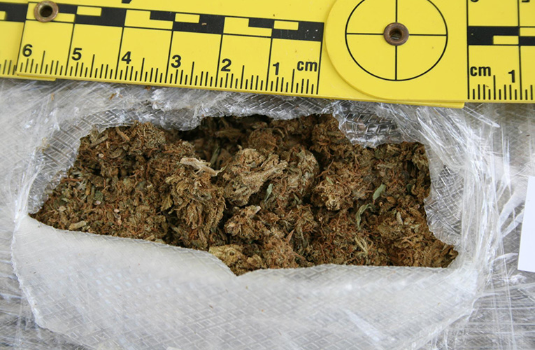 marihuana