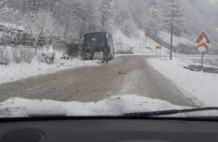autobus u jarku 2