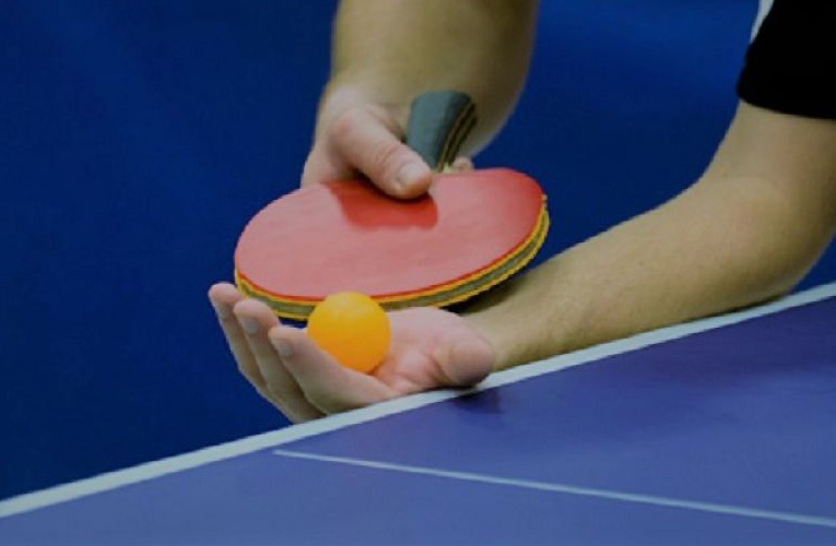 stolni tenis
