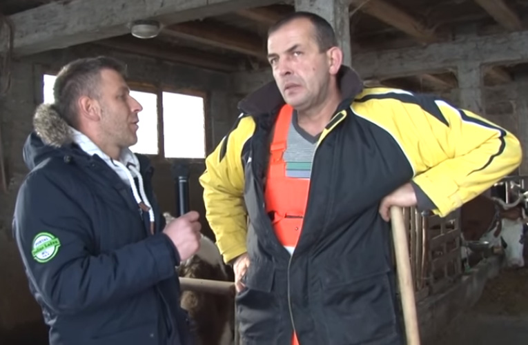 ilija topalovic