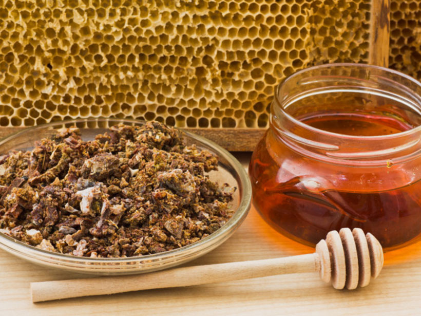 med propolis