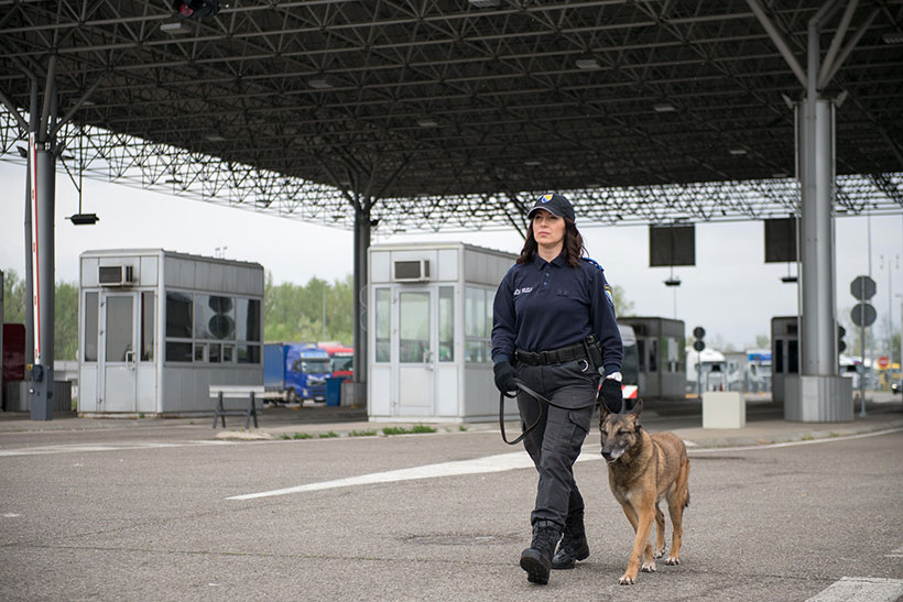 policajka zene