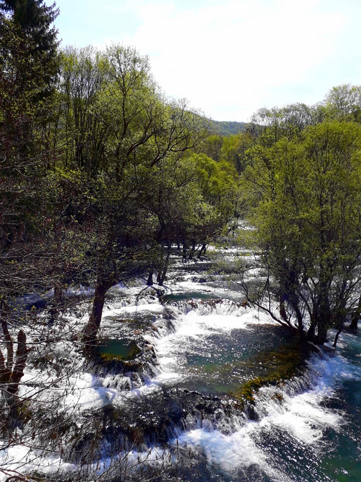 93702229_2807484936039922_8115789628658679808_n.jpg