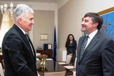 covic-palmer.jpg
