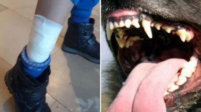 gfdtert.png