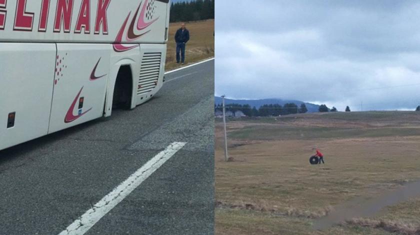 jelinak-kotac.jpg