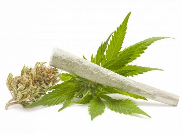 marihuana-e1485439483404.jpg