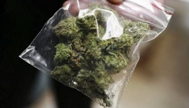 policija-kod-mladica-pronasla-marihuanu-spid-i-ekstazi-marihuana_5fedb51174ffe.jpg