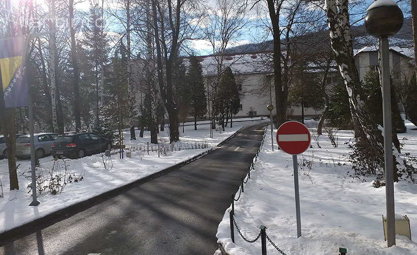 travn-boln-snij.jpg