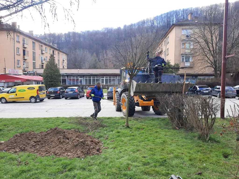 1679061845351.jpg