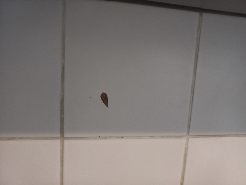 20230410_114919.jpg