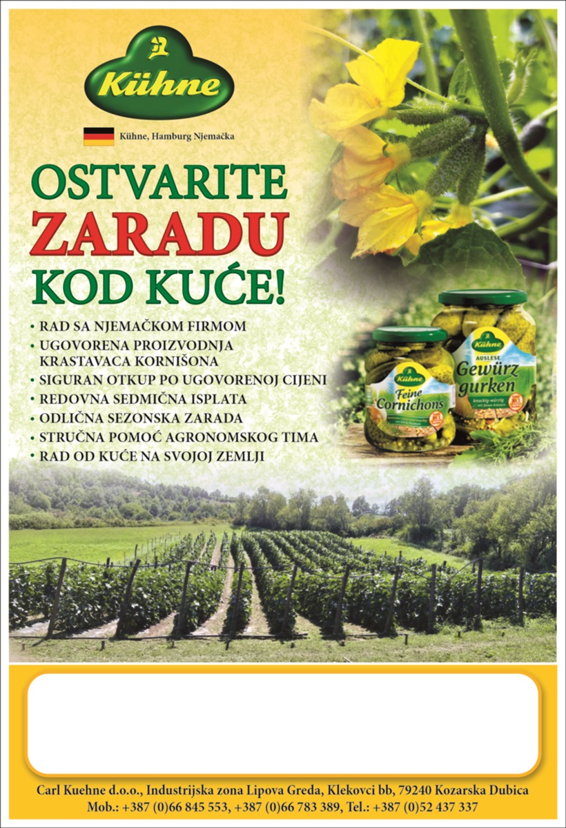 PLAKAT_2.JPG