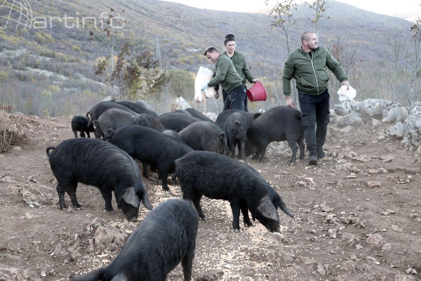farma-livno.jpg