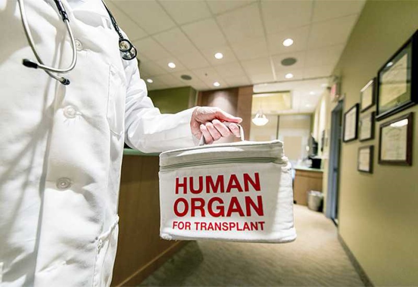 organi-transplantacija-kuti.jpg