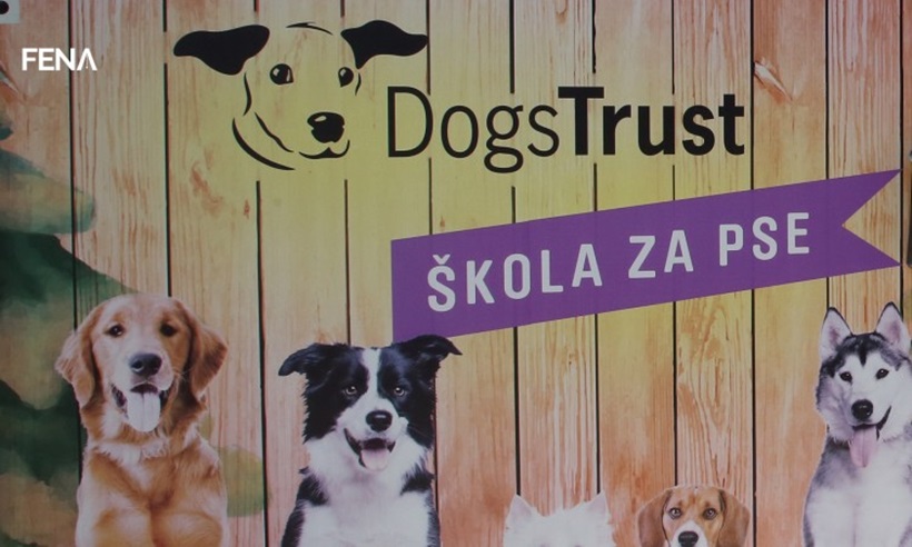210615_dogs_trust_markica.jpg