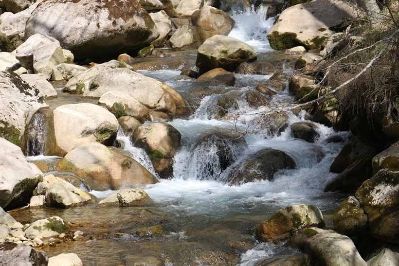 IMG_3118.JPG
