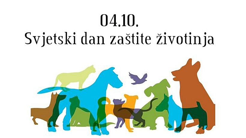 Svjetski-dan-zivotinja.jpg