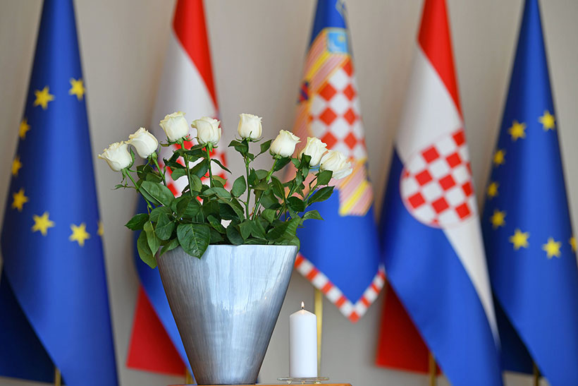 ruze vitez milanovic