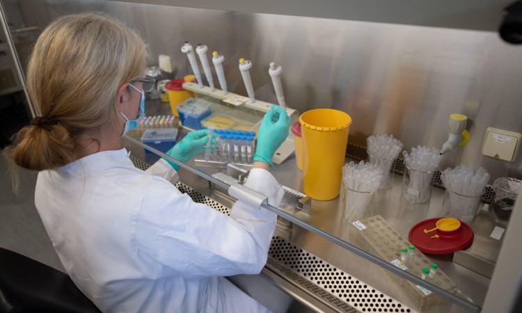vec_coronavirus_testiranje.jpg