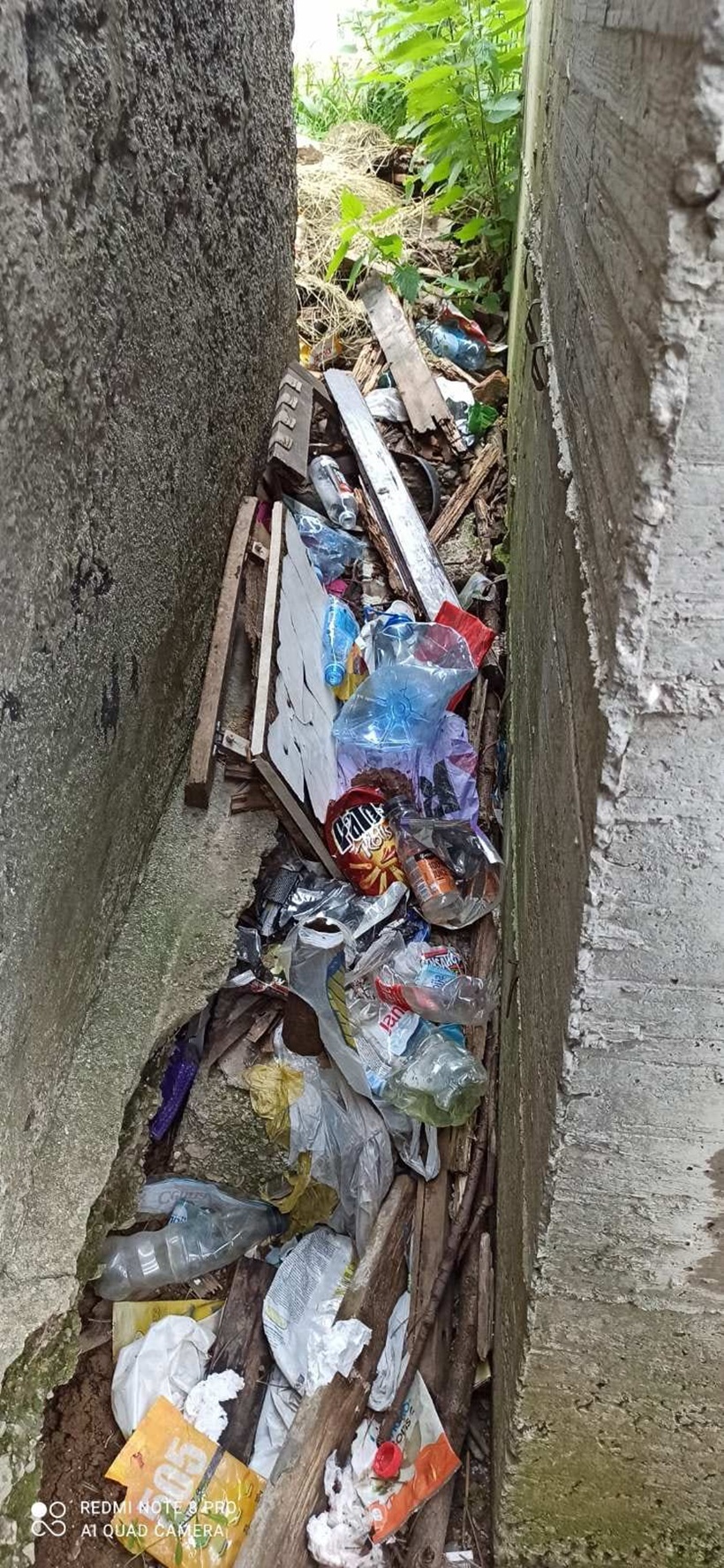 355082937_237073975742114_3686636445747117749_n.jpg