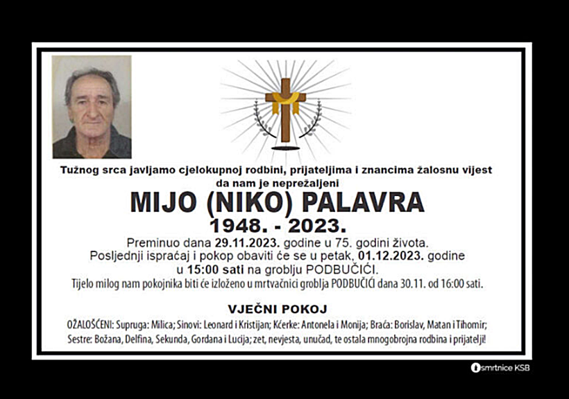 MIJOPALAVRA.png