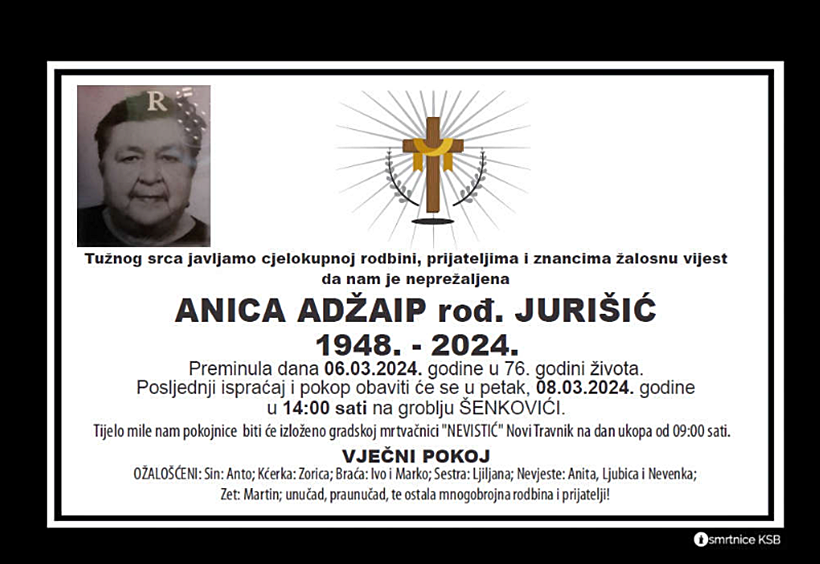 anicaadzaip.png