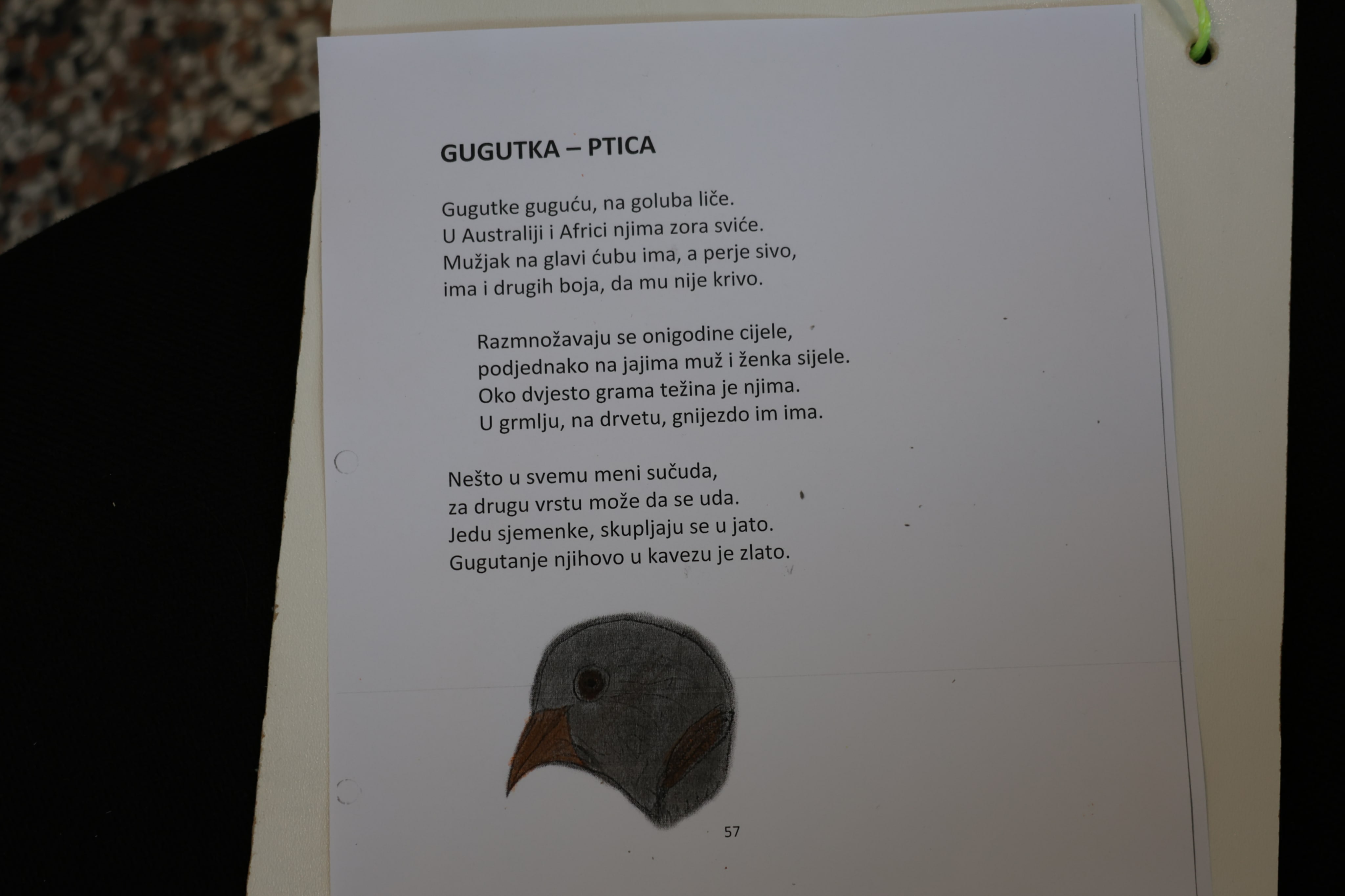 b8c8e4cf-7de9-43f8-b9c9-921196f49f53.jpg