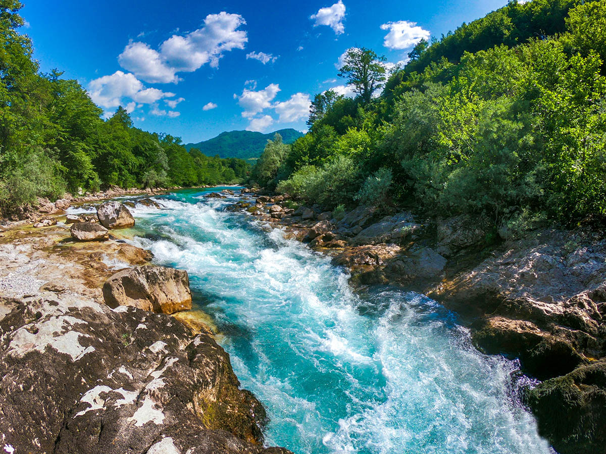 gal-konjic-114.jpg