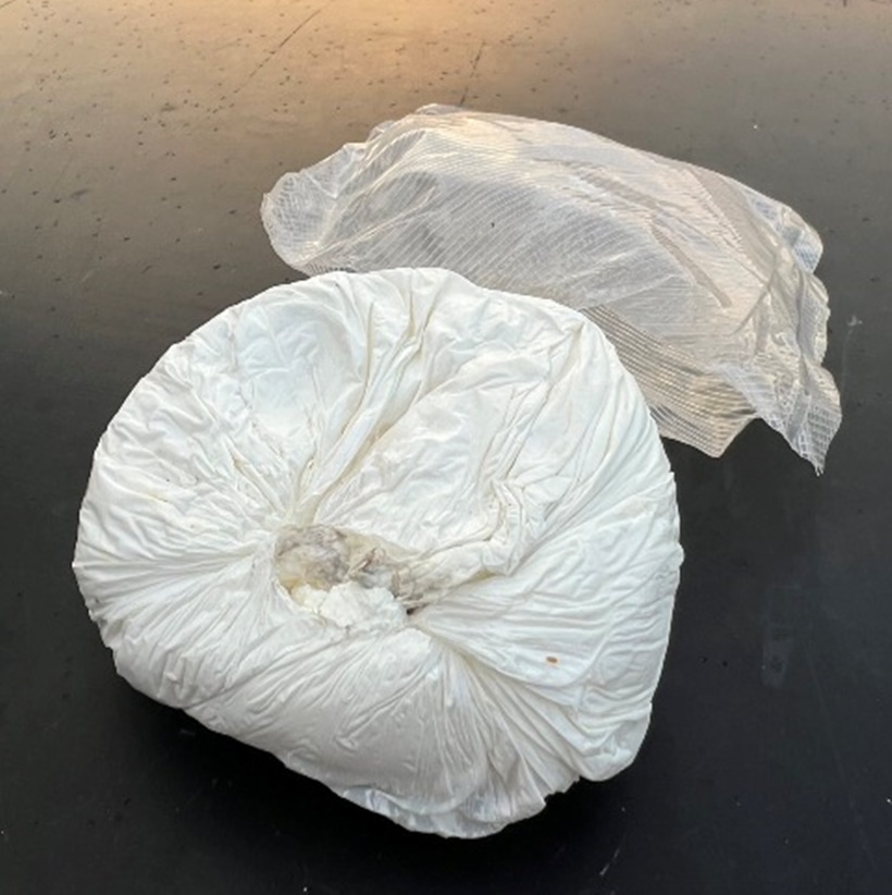 img_3832.jpeg
