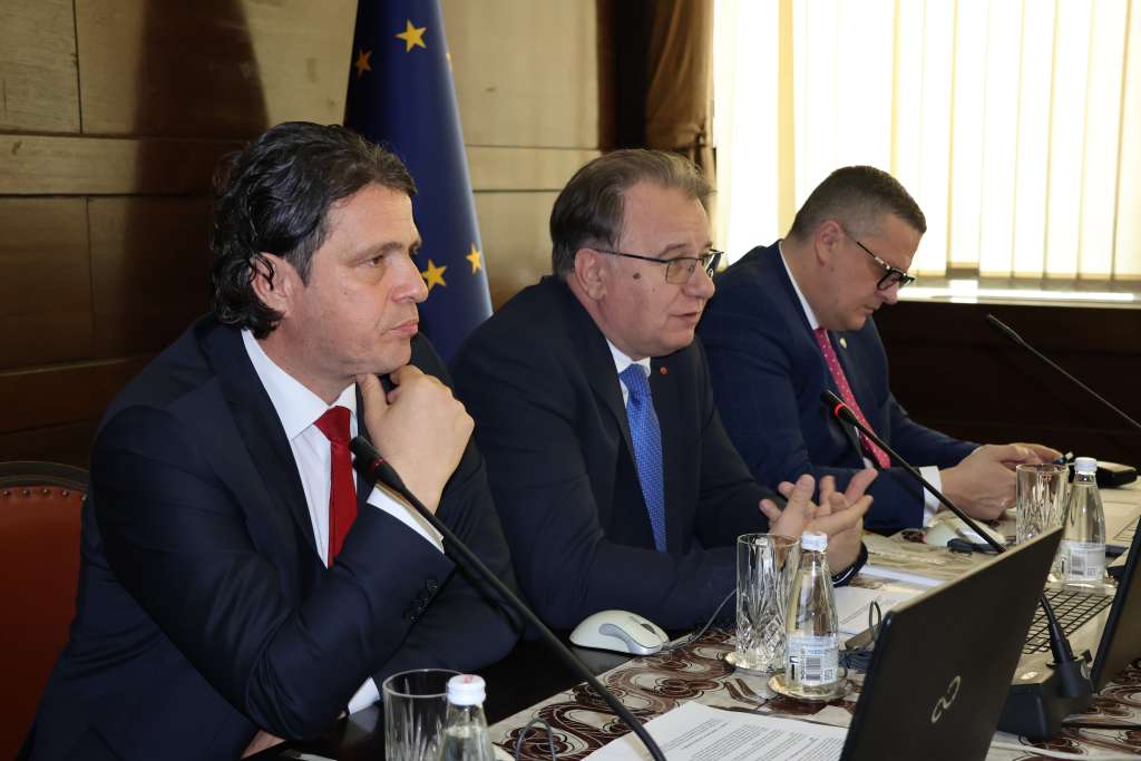 kraljevic_niksic_vojin.jpg