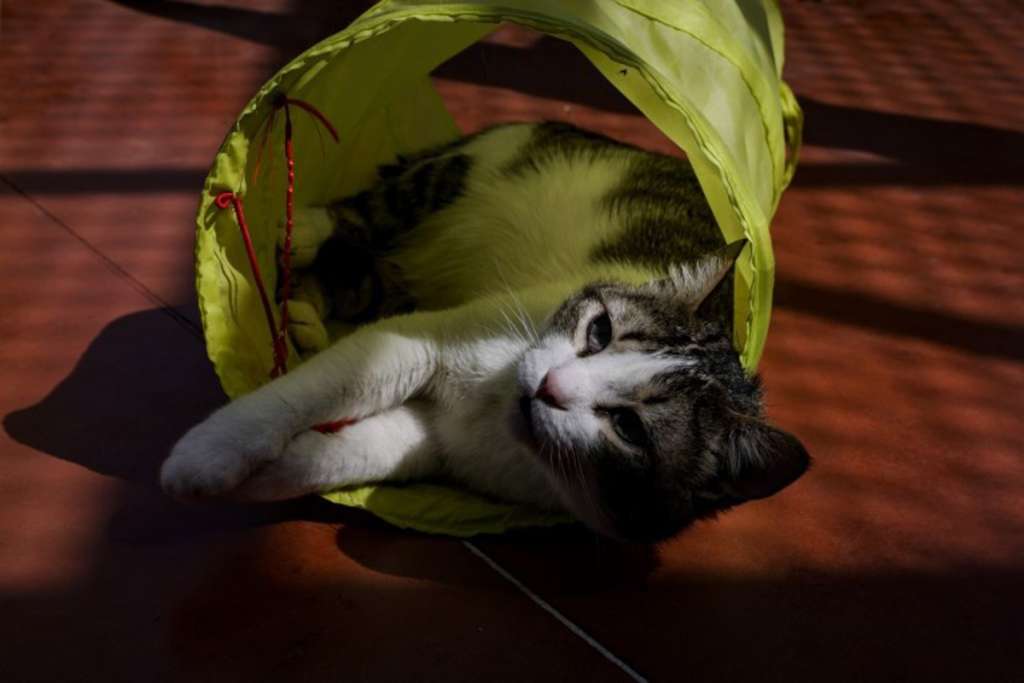 l_737a900e7926a0af9c7b980ee64f8048.jpg